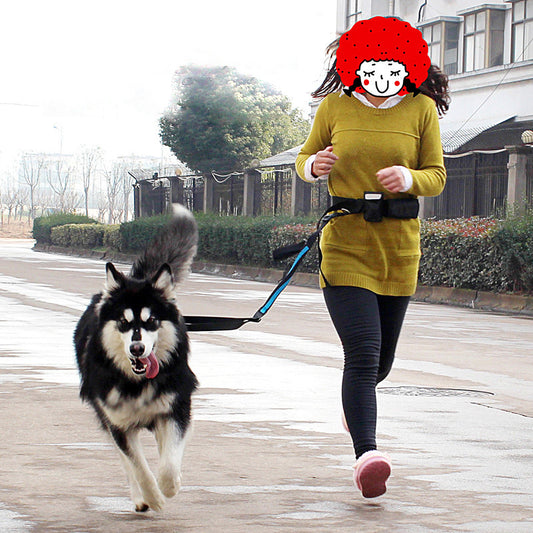 Reflective Pet Running Belt – Hands-Free Elastic Dog Leash for Walking & Jogging