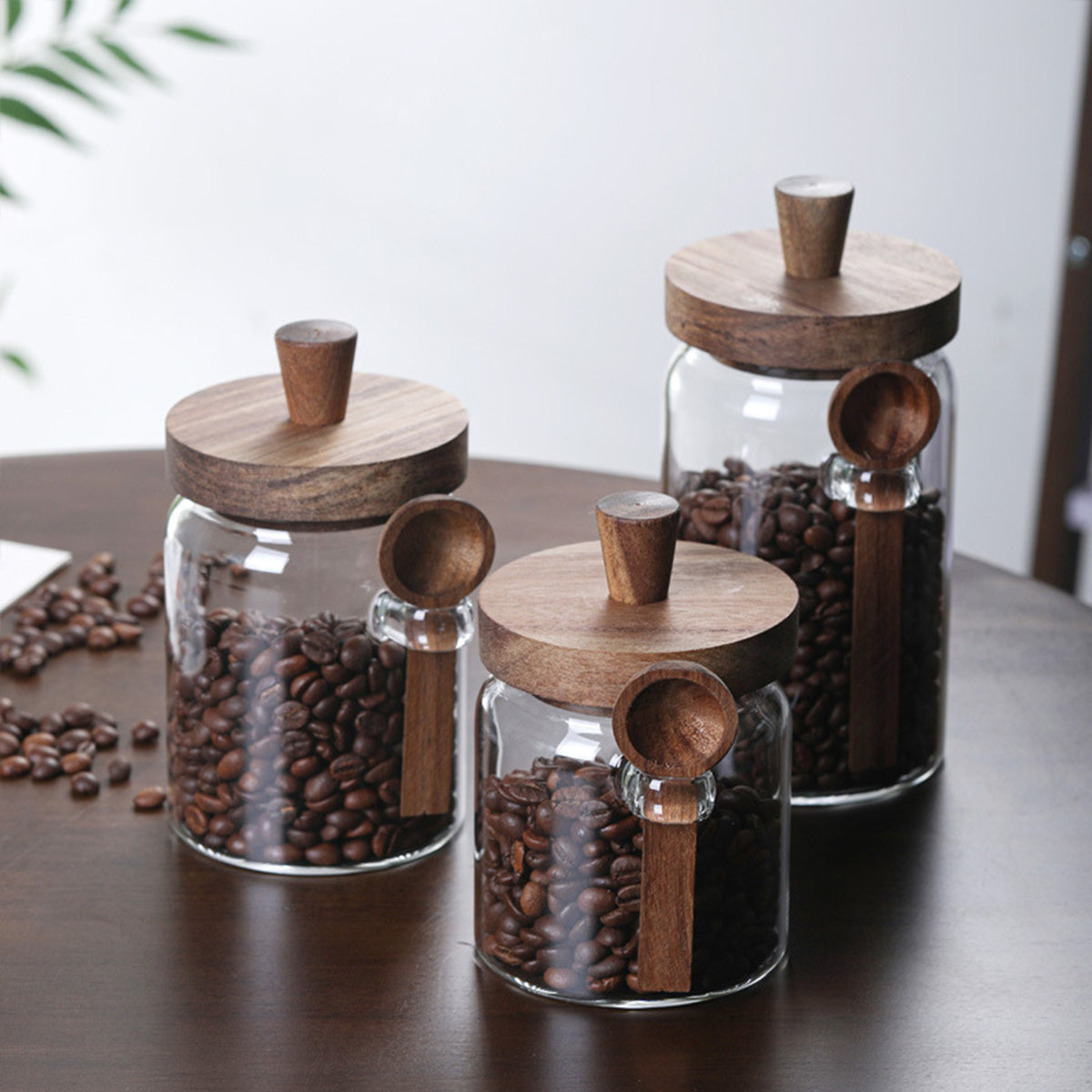 3Pcs Glass Storage Jars with Spoons – Coffee, Candy & Tea Containers