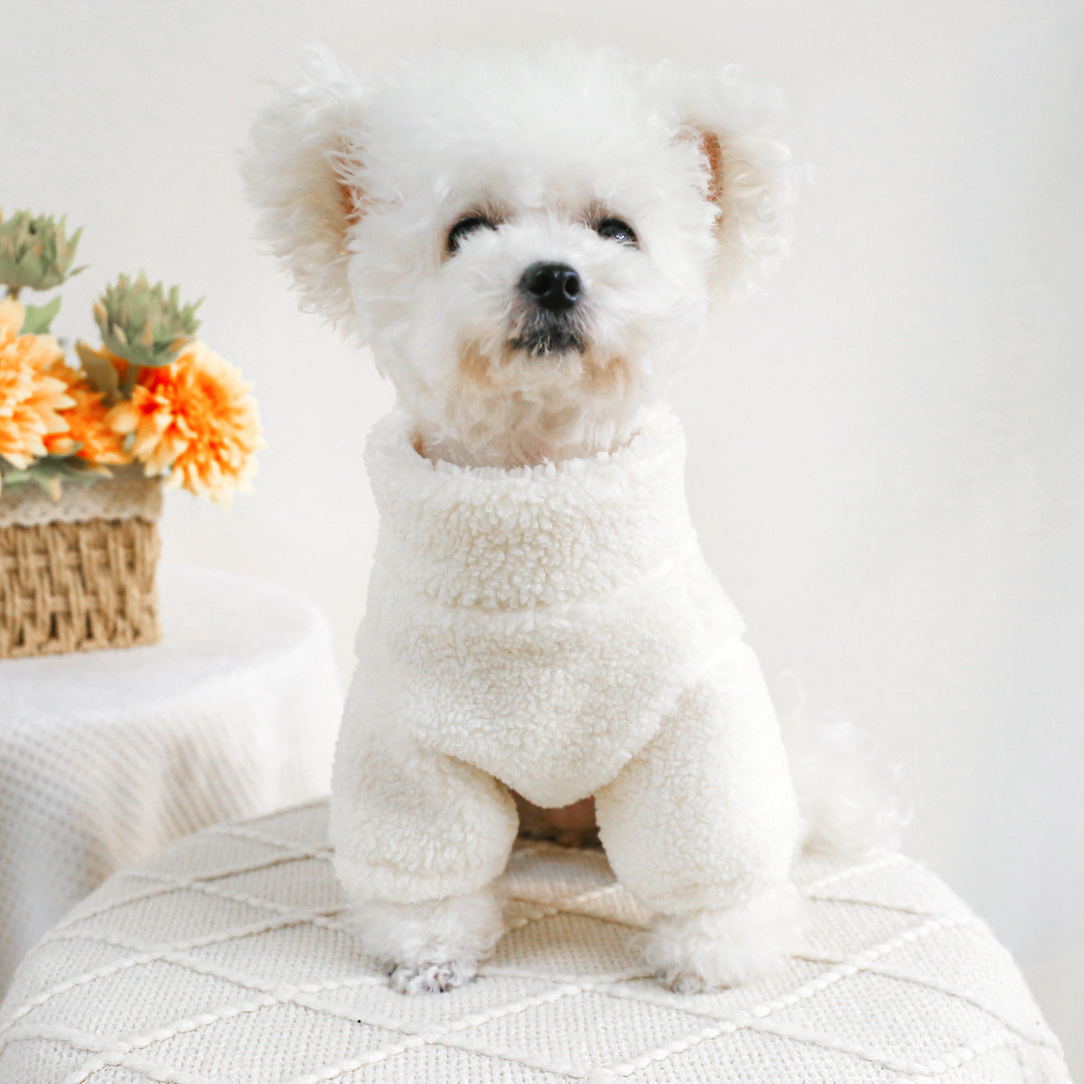 Pet Ring Warm Zipper Coat – Autumn & Winter Clothes for Dogs and Cats