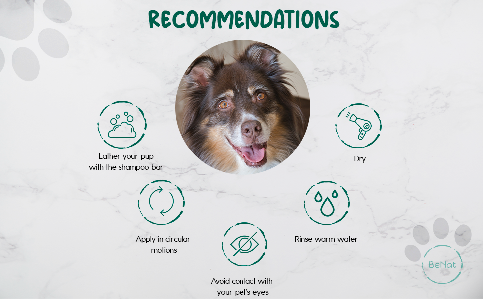 BeNat Pets All-Natural Oat Pet Shampoo Bar – Gentle Cleansing for Dogs & Cats (5.8 oz)