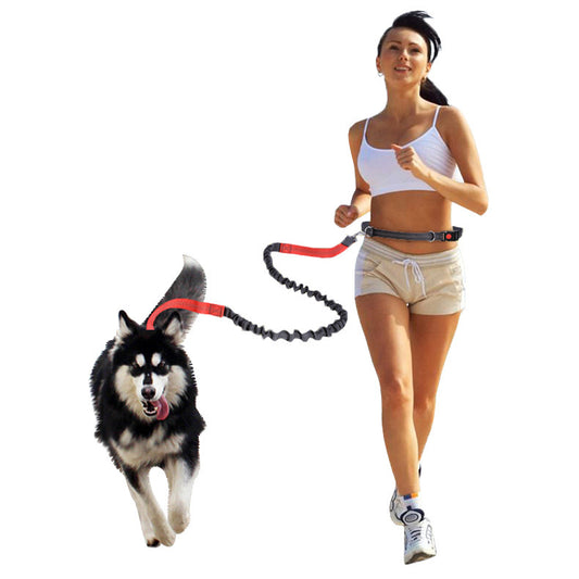 Reflective Pet Running Belt – Hands-Free Elastic Dog Leash for Walking & Jogging